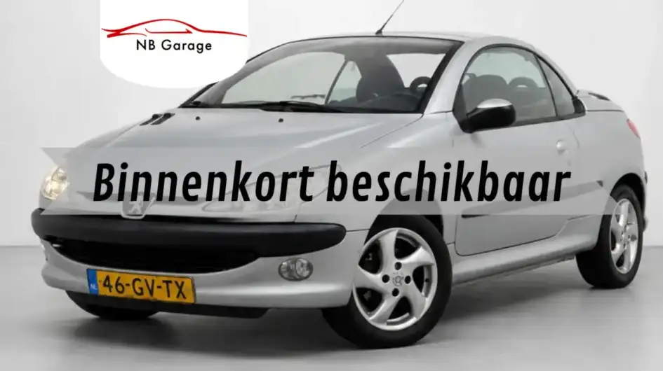 Peugeot 206CC - Eerste eigenaar! - Lichtmetalen velgen